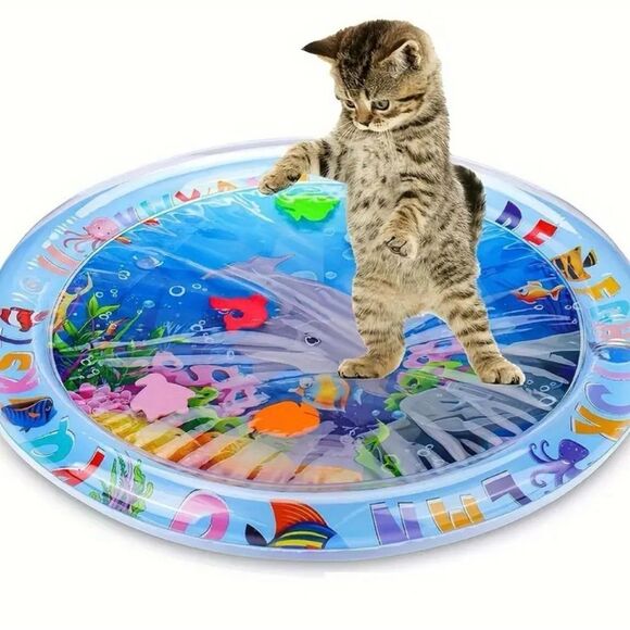 Splash Proof Interactive Mat - Picture 2 of 4